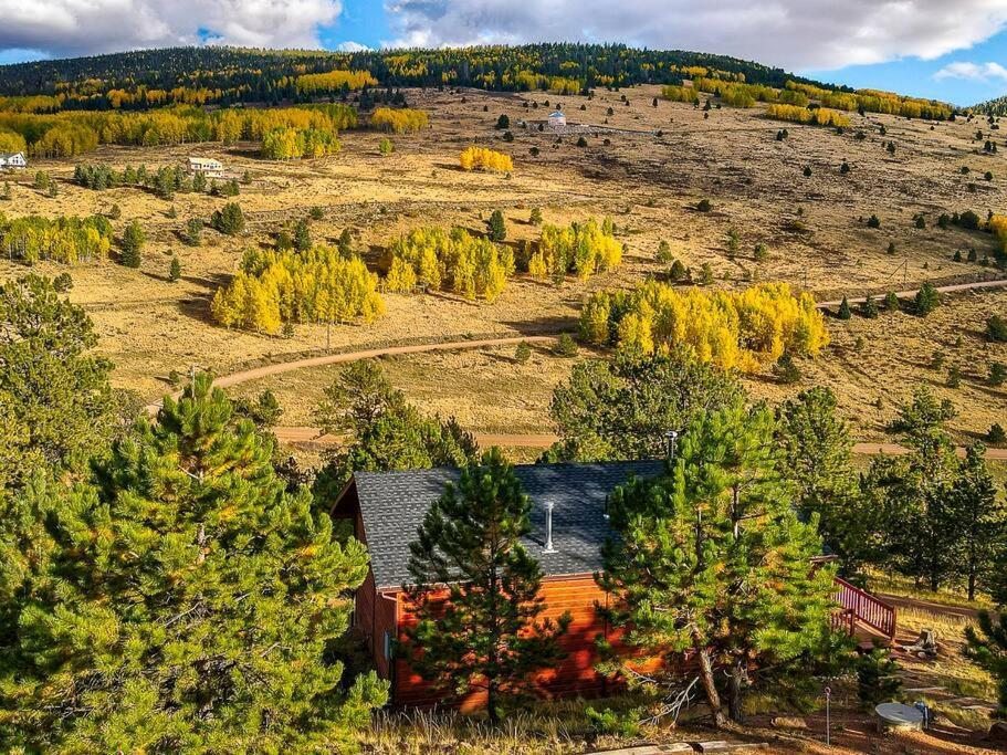 Monarch Landing, A Cozy Cabin W/360 Mountain Views Cripple Creek Ngoại thất bức ảnh